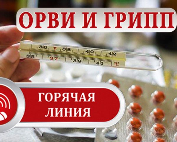 О проведении "горячей линии" по профилактике ГРИППА и ОРВИ О проведении "горячей линии" по профилактике ГРИППА и ОРВИ.